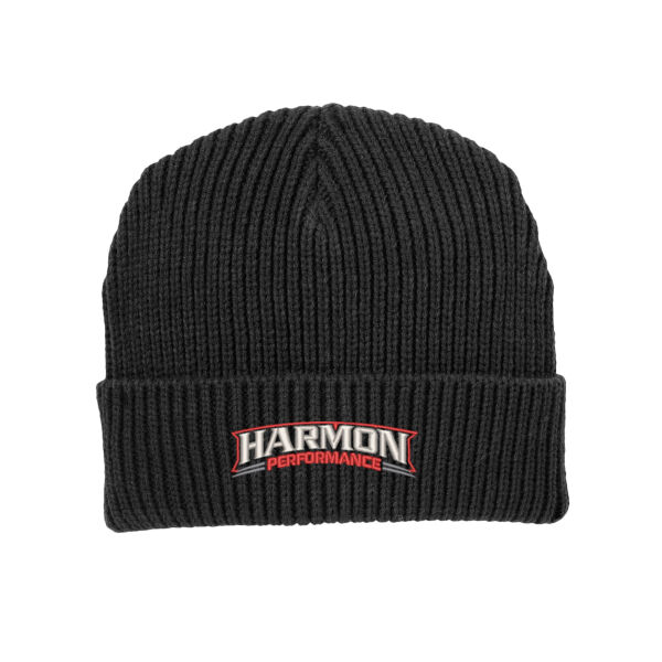 HPT - Chunky Knit Beanie Thumbnail